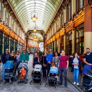 Bring Your Baby to Walk Product Image