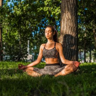Yoga and Forest Bathing Day Retreat near Brighton Product Image