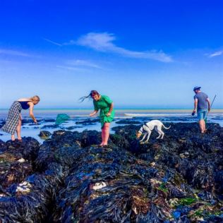 Coastal Foraging & Feasting Product Image