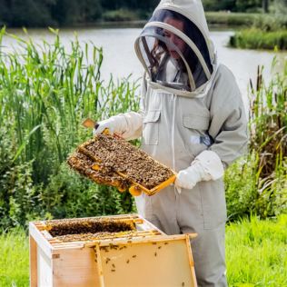Hiver's Rural Beekeeping and Beer Tasting for Two Product Image