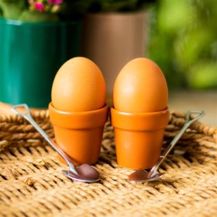 Plant Pot Egg Cup Set with Shovel Spoons Product Image