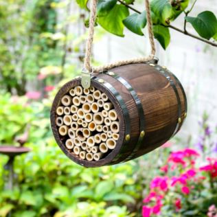 Bee Barrel Product Image