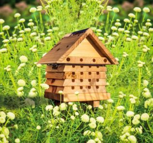 Interactive Solitary Bee Hive Product Image
