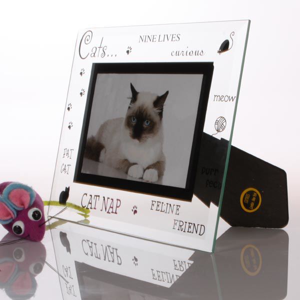 Cat Photo Frame The Gift Experience