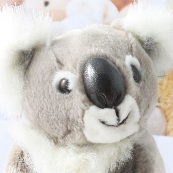 Koala Bear Soft Cuddly Toy The Gift Experience