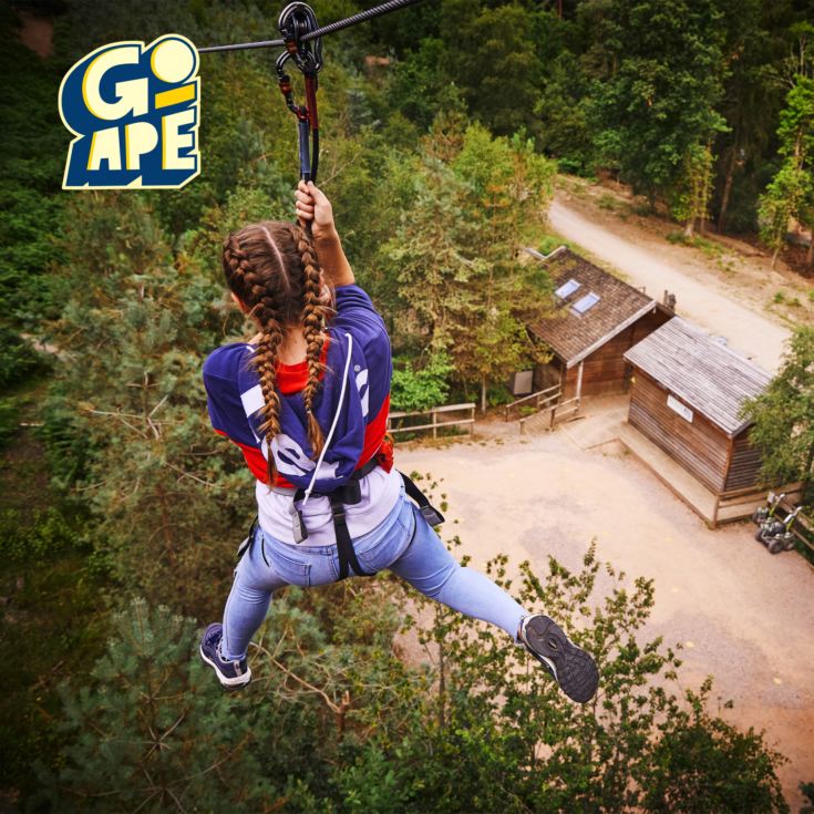 Treetop Challenge for Two Adults at Go Ape product image