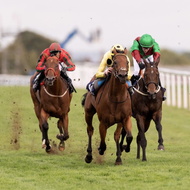 Happy Birthday Experience Box The Gift Experience