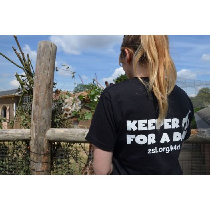 Keeper for a Day at ZSL London Zoo The Gift Experience