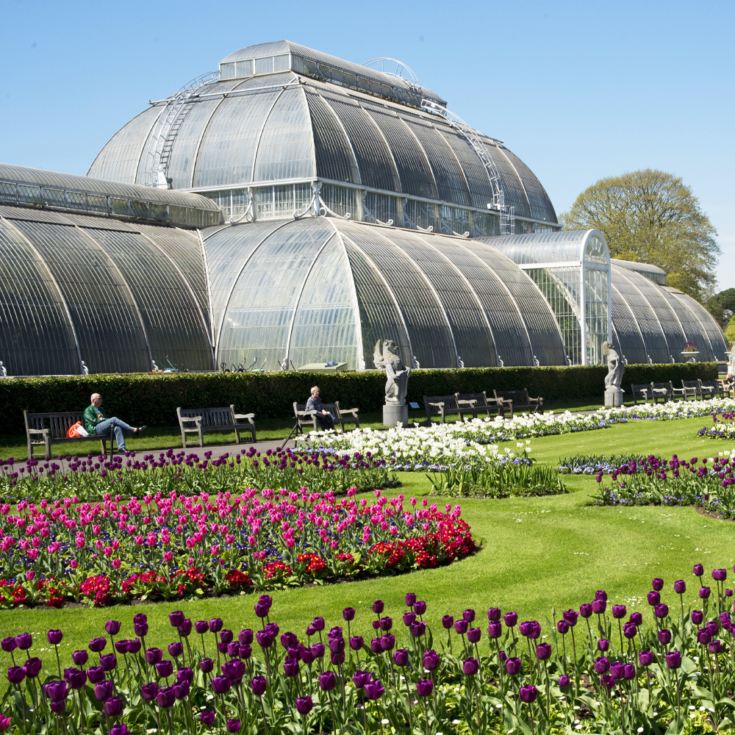 Visit to Kew Gardens and Palace for Two  product image