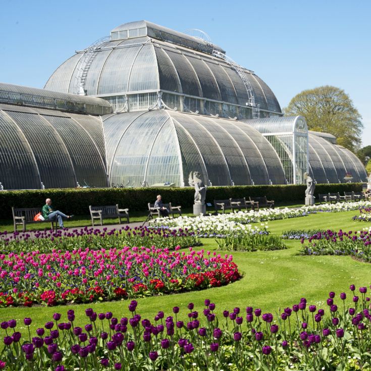 Visit to Kew Gardens and Palace for Two The Gift Experience