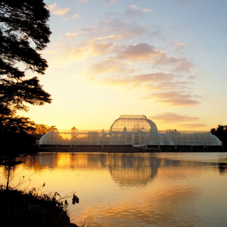 Visit to Kew Gardens and Palace for Two The Gift Experience