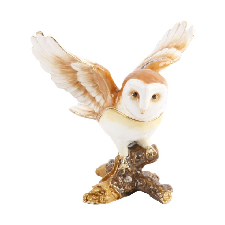 Treasured Trinkets - Owl with Wings out product image