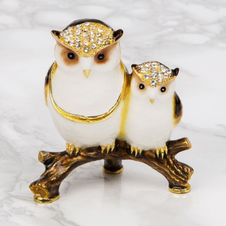 Treasured Trinkets - Mother & Baby Owl product image