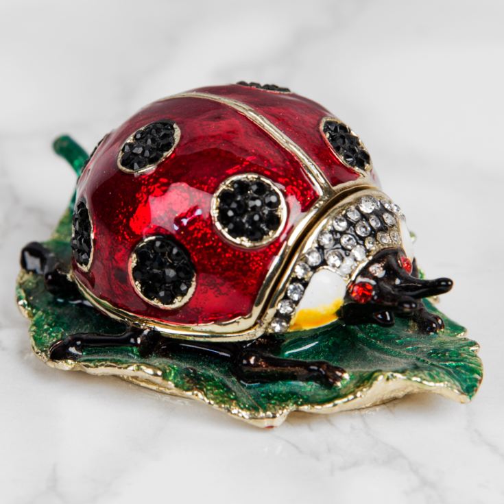 Treasured Trinkets Ladybird product image