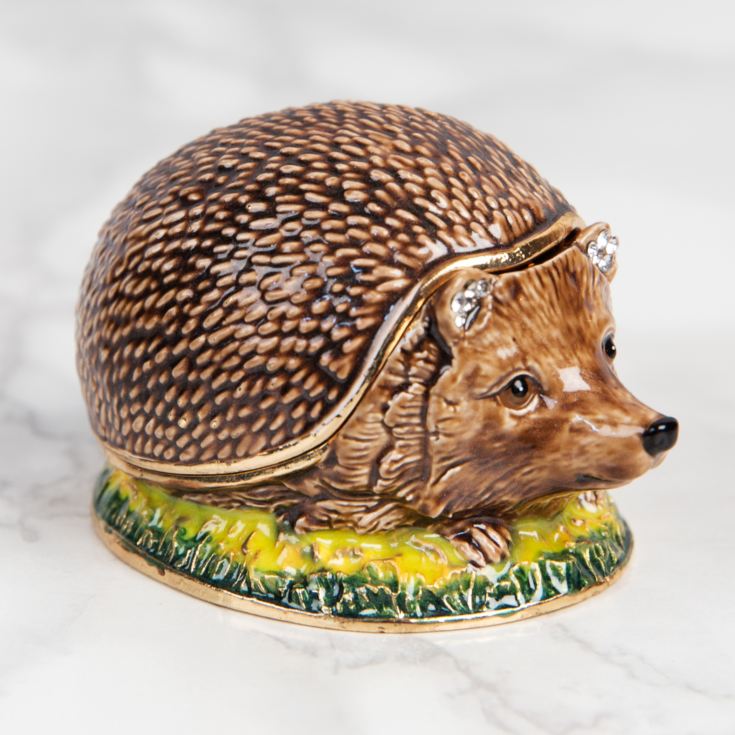 Treasured Trinkets Hedgehog product image