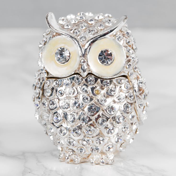 Treasured Trinkets - Crystal Owl product image