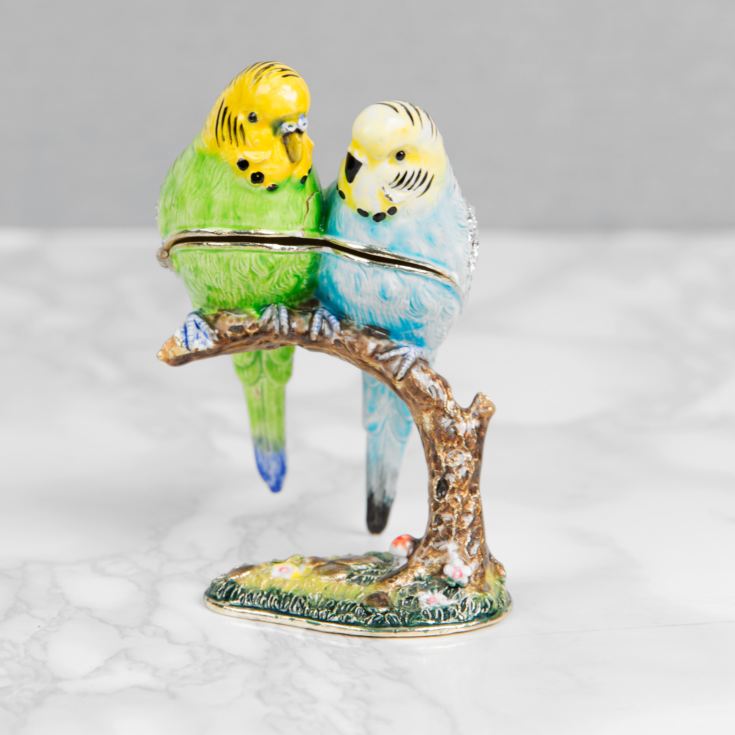 Treasured Trinkets - 2 Budgerigars on Branch product image