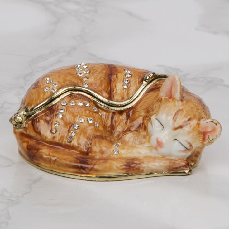 Treasured Trinkets - Ginger Cat Curled Up *(48/72)* product image