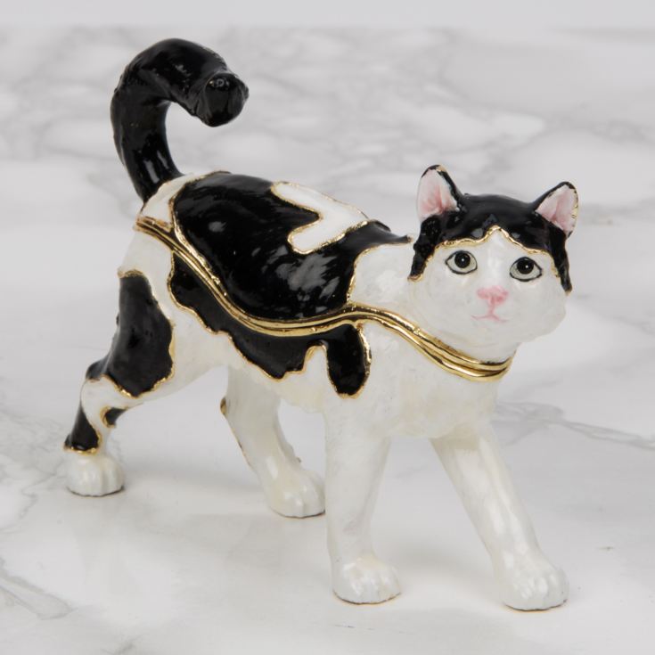 Treasured Trinkets Figurine - Black & White Cat product image