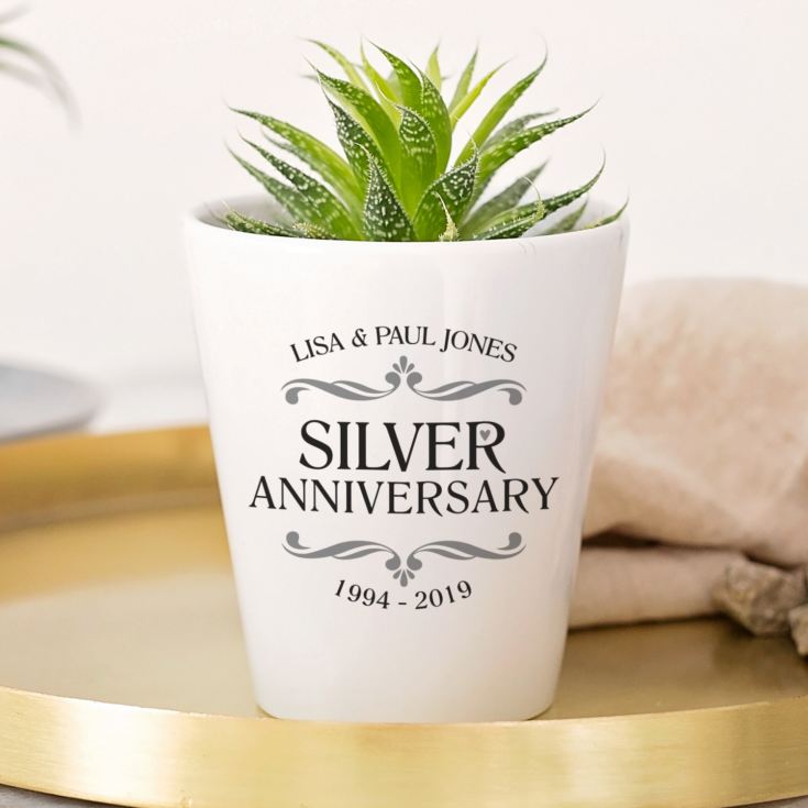 Personalized Silver Wedding Anniversary Plant Pot