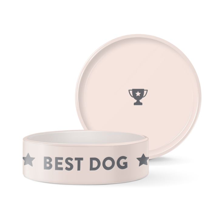 FRINGE STUDIO Ceramic Dog Bowl - Best Dog product image