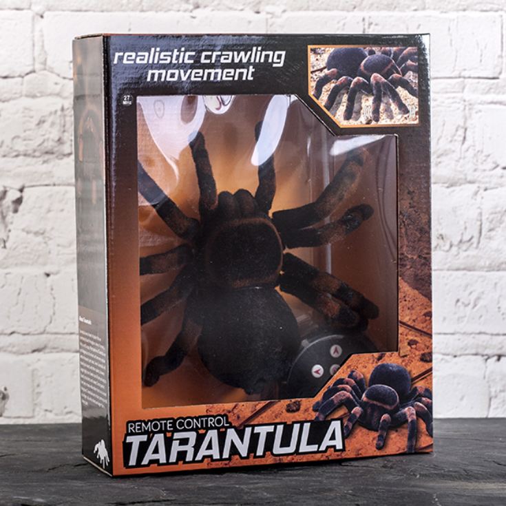 Remote Control Tarantula The Gift Experience