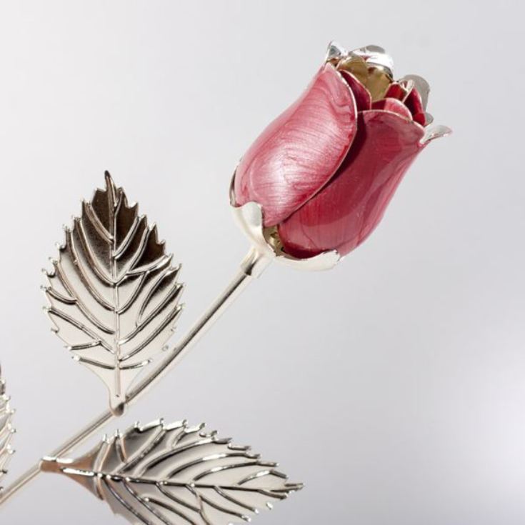 Personalised Silver Plated Rose With Pink Bud product image