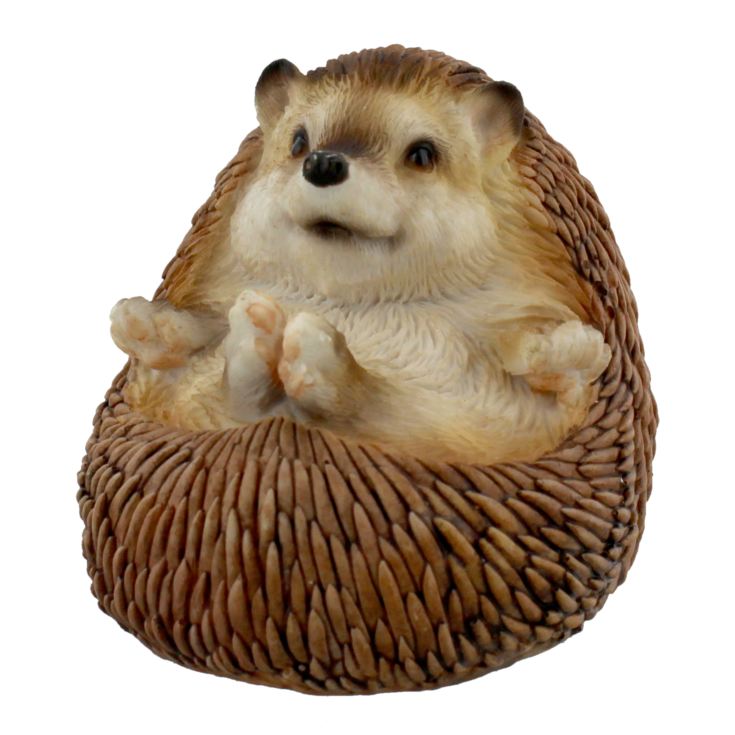 Naturecraft Figurine - Hedgehog Curled Up product image