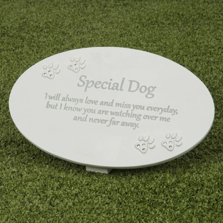 Thoughts of You Resin Memorial Plaque - Dog product image