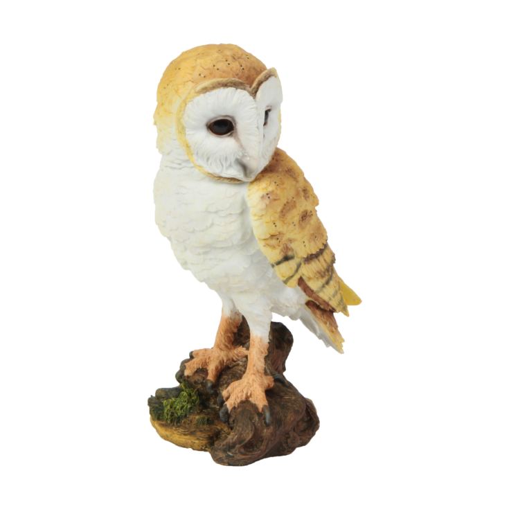 Naturecraft Collection Resin Figurine - Owl product image