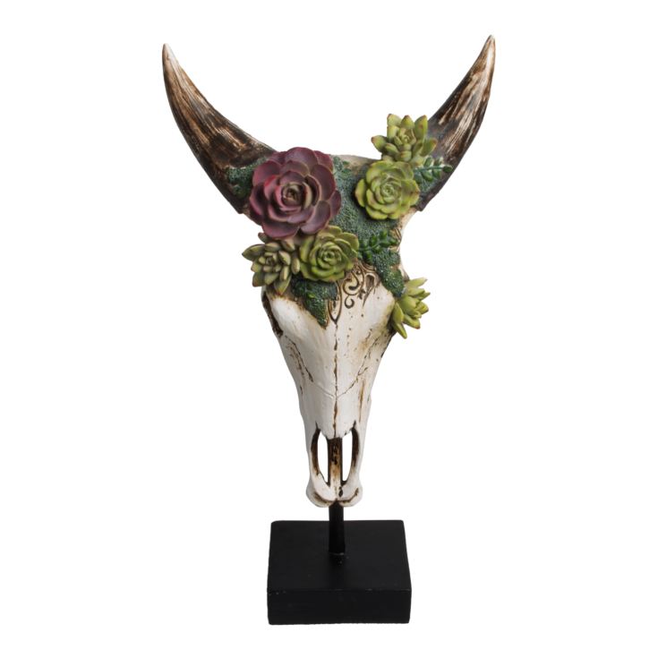 White Resin Steer Skull on Stand 50.5cm product image