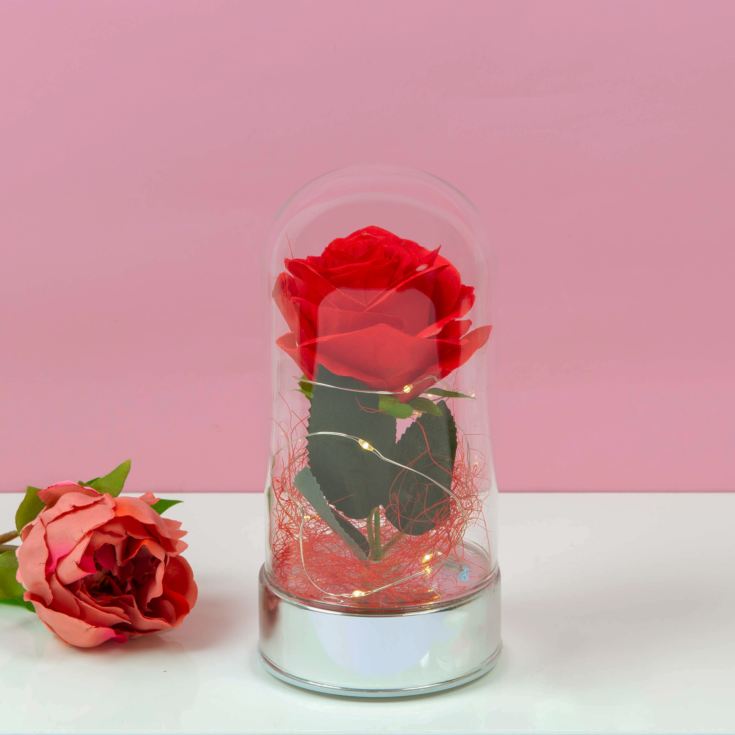 LED Light Up Rose in Glass Dome - Medium product image