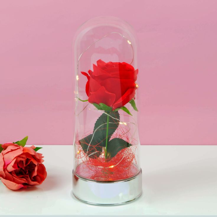 LED Light Up Rose in Glass Dome - Large | The Gift Experience