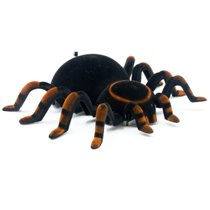 Remote Control Tarantula The Gift Experience
