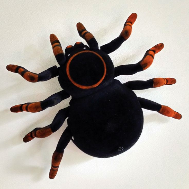 remote control tarantula spider