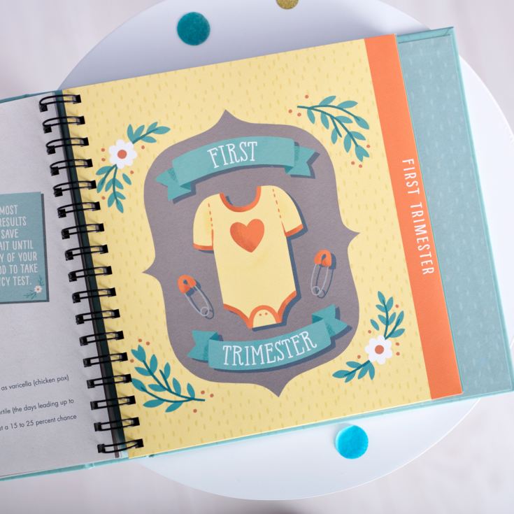 Studio Oh! Guided Pregnancy Journal, Bump for Joy! product image