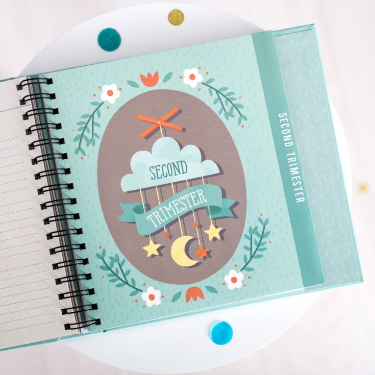 Studio Oh! Guided Pregnancy Journal, Bump for Joy! product image