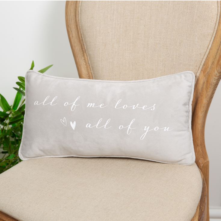 Amore Cushion "All Of Me Loves All You" product image