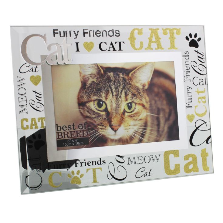 Best of Breed Glass Photo Frame 3D Words 6" x4 " Cat product image