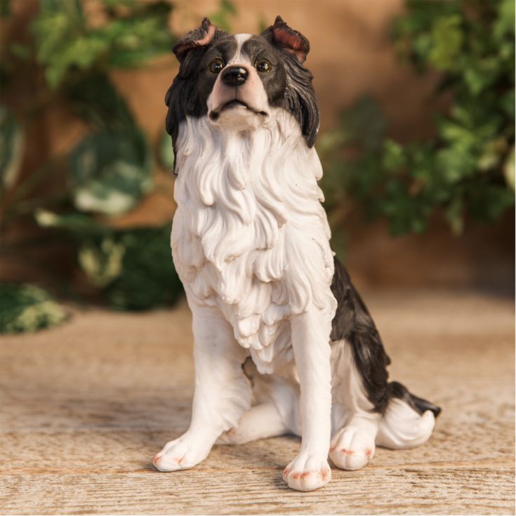 Best of Breed - Border Collie Figurine product image