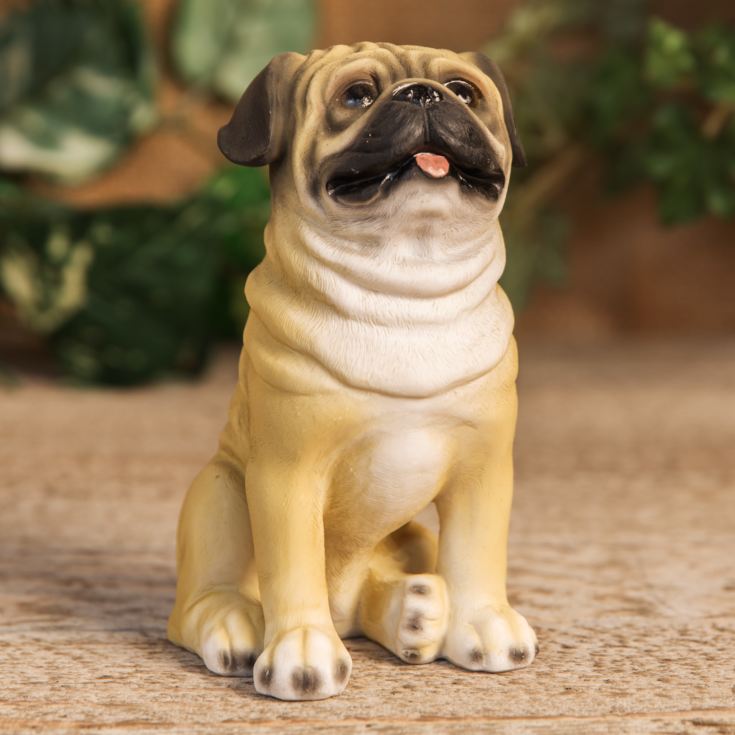 Best of Breed - Pug Figurine product image