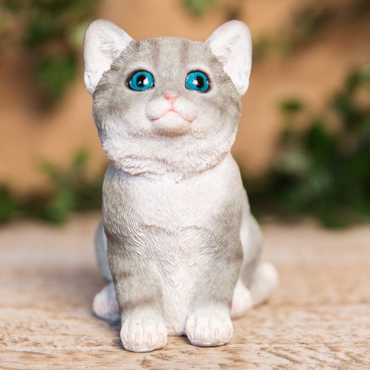 Best of Breed Collection - Grey & White Kitten Figurine product image