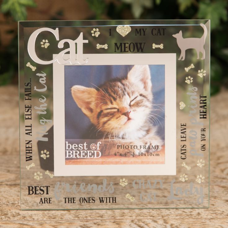 4" x 4" - Best of Breed Glass Photo Frame - Cat product image