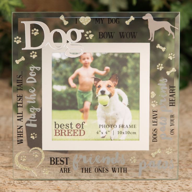4" x 4" - Best of Breed Glass Photo Frame - Dog product image