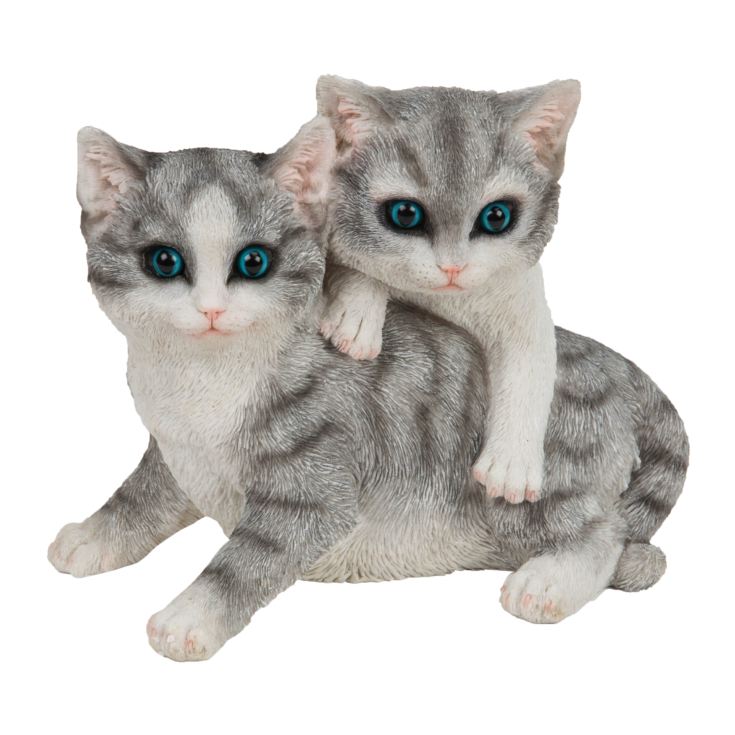 Best of Breed Collection - Two Grey & White Kittens product image