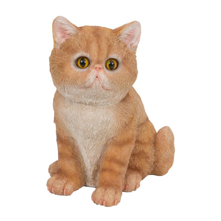 Best of Breed Collection - Ginger & White Kitten product image