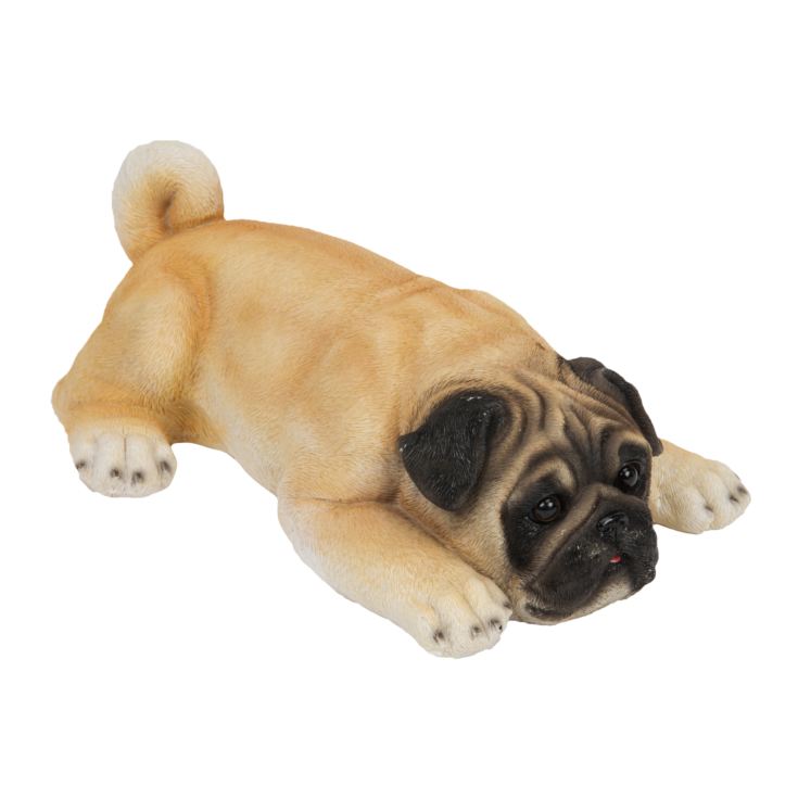 Best of Breed Collection - Pug Puppy product image