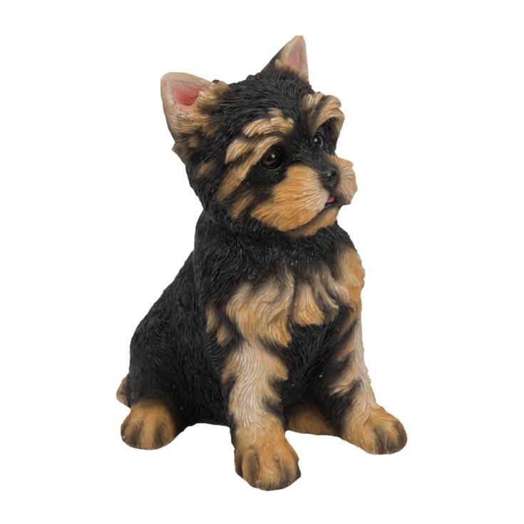 Best of Breed Collection - Yorkshire Terrier Pup product image