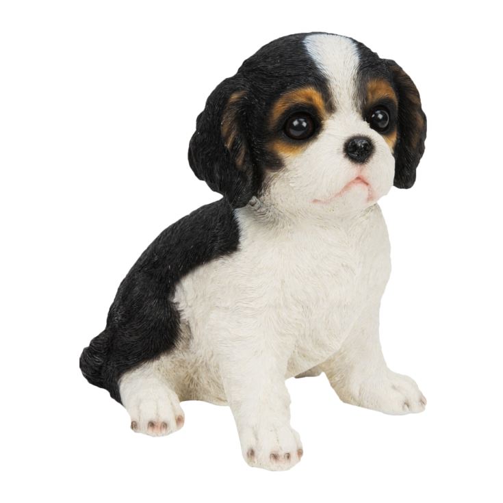 Best of Breed Collection - King Charles Spaniel Puppy product image
