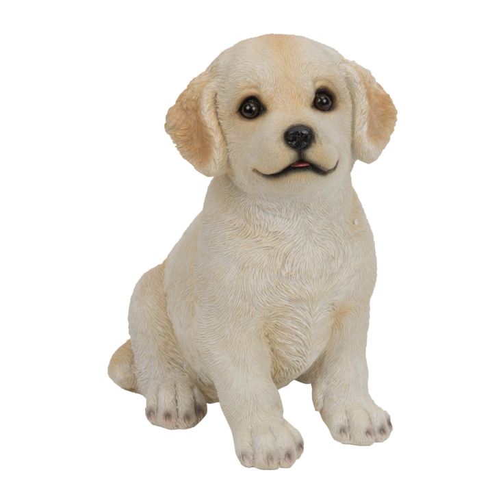 Best of Breed Collection - Golden Retriever Pup product image